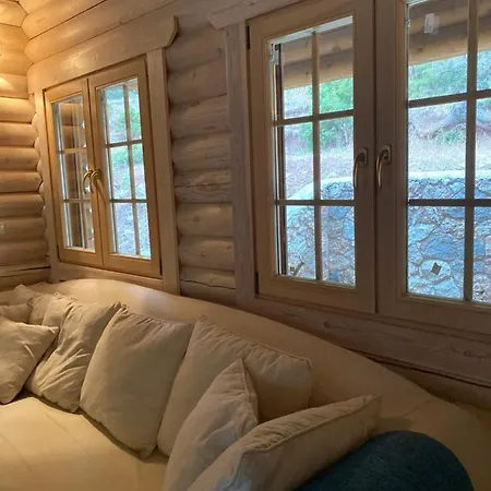 Shelter 木屋